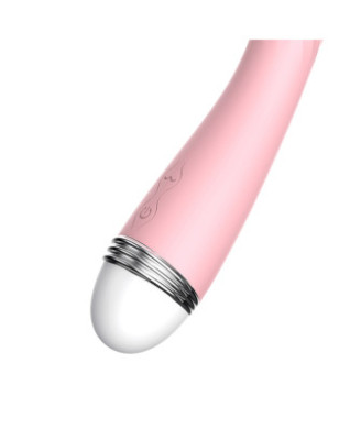 Vibromasseur rose vintage 10 vitesse USB 